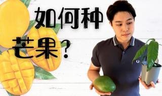 芒果tv弹幕按钮没了 芒果tv弹幕按钮没了