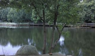 安吉农家乐三天全包价 安吉农家乐三天全包价